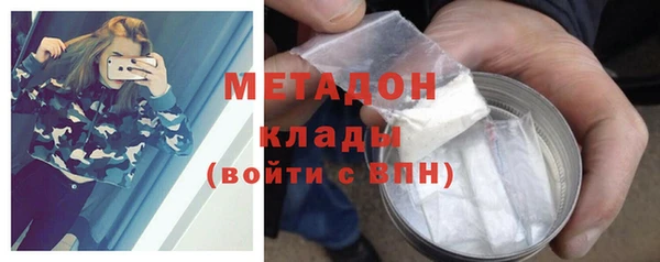 дживик Няндома