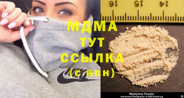 дживик Няндома