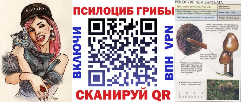 Галлюциногенные грибы мицелий  omg ТОР  Цивильск 